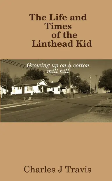 The Life And Times Of The Linthead Kid 1