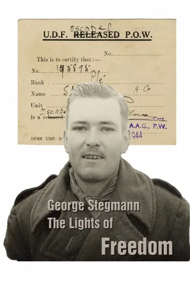 The Lights Of Freedom 1
