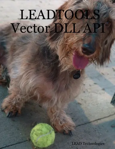 Leadtools Vector Dll Api 1