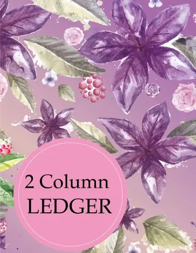 2 Column Ledger : For  Business, Home, Office, Accounting Bookkeeping 1