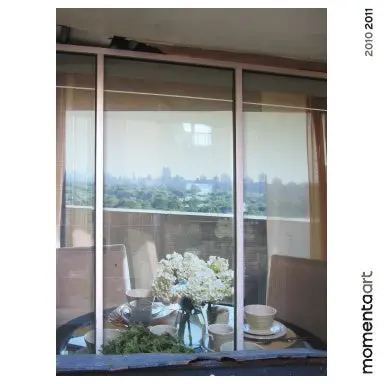 Momenta Art 2010-2011 1