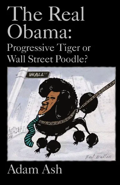 The Real Obama: Progressive Tiger Or Wall Street Poodle? 1