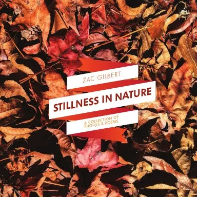 Stillness In Nature 1