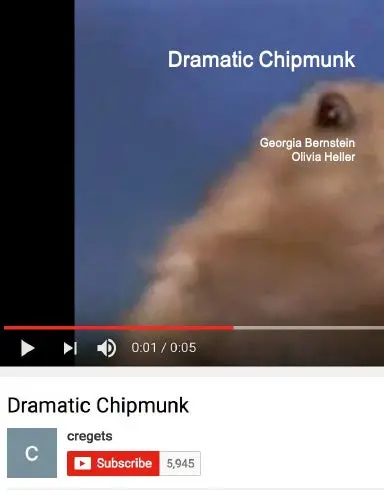 Dramatic Chipmunk 1