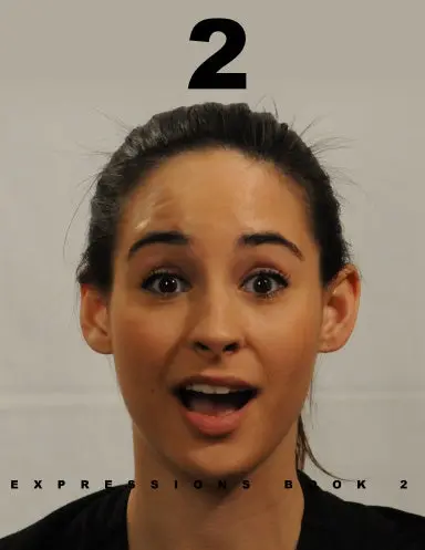 Expression Book 2 1