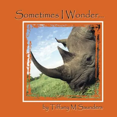 Sometimes I Wonder 1