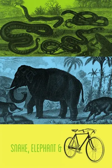 A Snake, An Elephant And A Bike 1