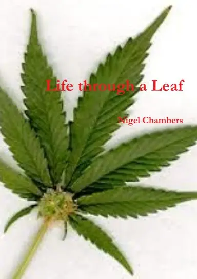 Life Through A Leaf 1