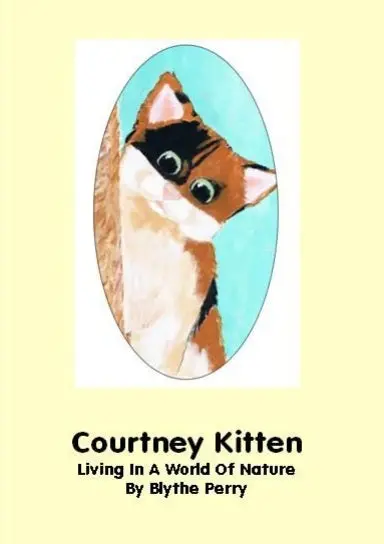 Courtney Kitten (Cream) 1