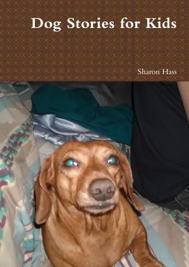 Dog Stories For Kids 1