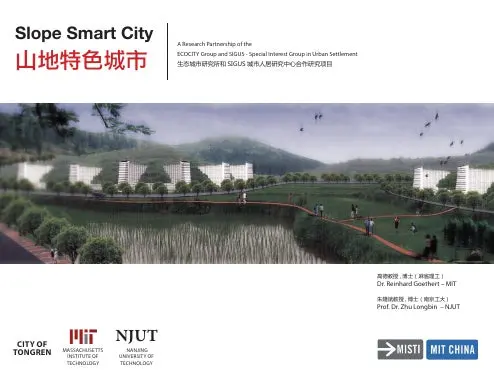 Slope Smart City 1