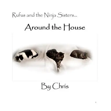 Rufus And The Ninja Sisters...Around The House 1