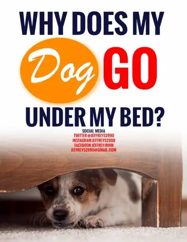 Why Does My Dog Go Under My Bed? 1