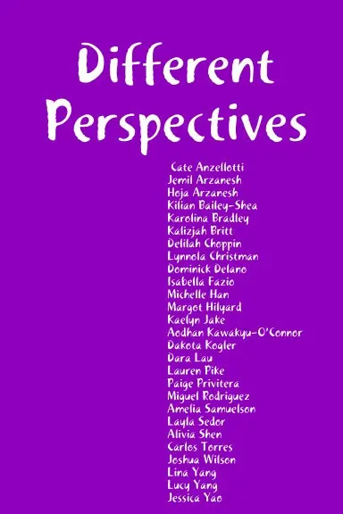 Different Perspectives 1