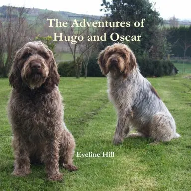 The Adventures Of Hugo And Oscar 1