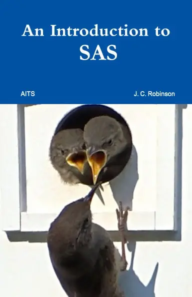 Introduction To Sas 1