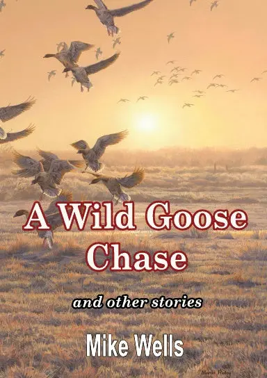 A Wild Goose Chase: And Other Stories 1