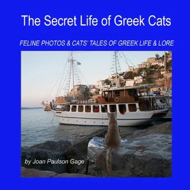 The Secret Life Of Greek Cats 1
