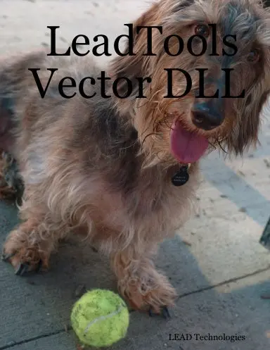 Leadtools Vector Dll 1