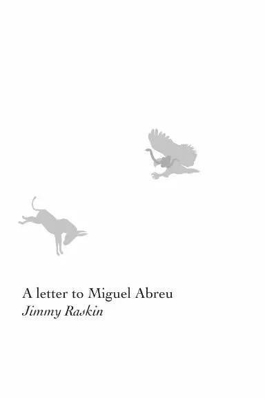 A Letter To Miguel 1