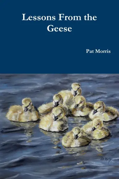 Lessons From The Geese 1