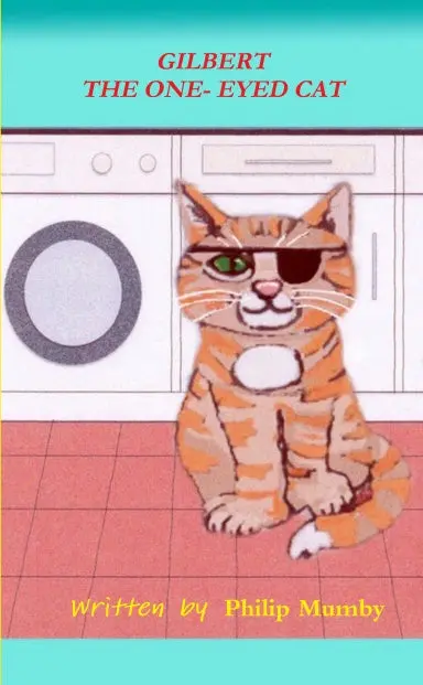 Gilbert The One-Eyed Cat 1