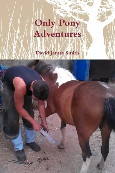 Only Pony Adventures 1