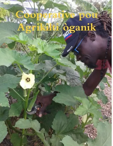 Cooperative Pou Agrikilti ˜Ganik 1