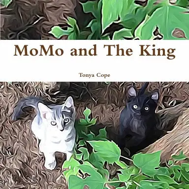 Momo And The King 1