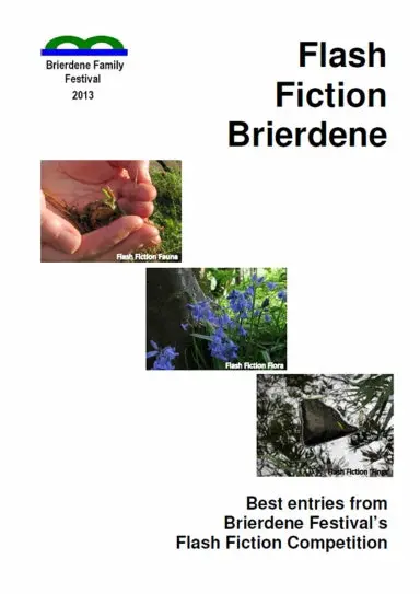 Flash Fiction Brierdene 1