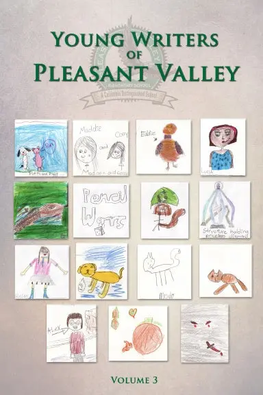 Young Writers Of Pleasant Valley - Volume 3 1