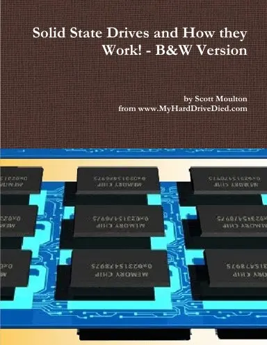 Solid State Drives And How They Work! - B&W Version 1