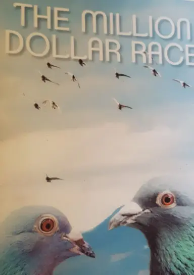 The Million Dollar Race 1