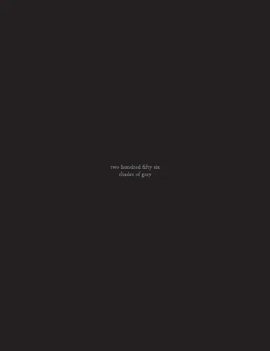 Two Hundred Fifty Six Shades Of Grey 1