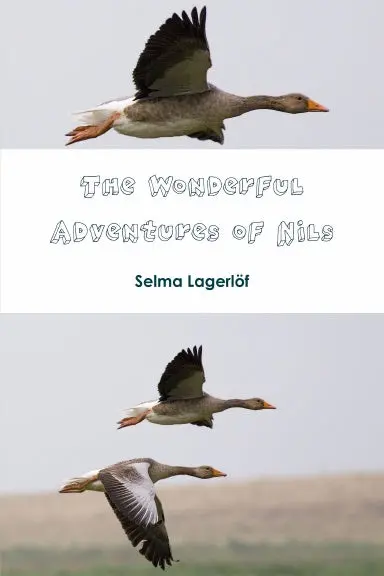 The Wonderful Adventures Of Nils 1