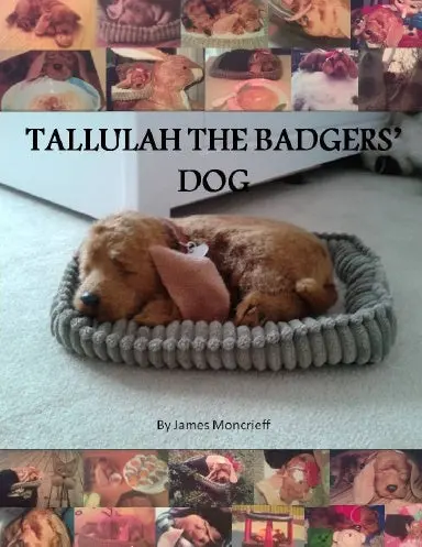 Tallulah The Badger's Dog 1