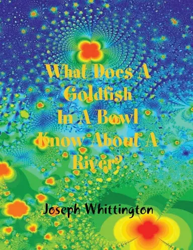 What Does A Goldfish In A Bowl  Know About A River? 1