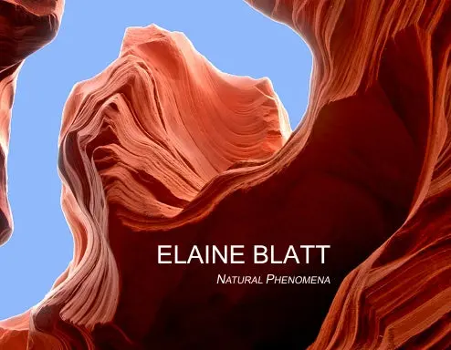 Elaine Blatt: Natural Phenomena 1