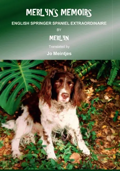 Merlyn's Memoirs: English Springer Spaniel Extraordinaire 1