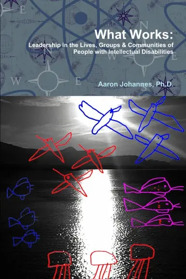 What Works: Leadership In The Lives, Groups And Communities Of People With Intellectual Disabilities 1