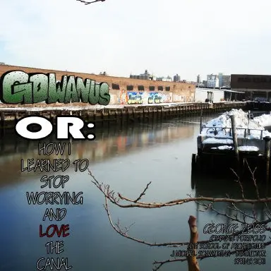Gowanus Or How I Learned To Stop Worrying And Love The Canal 1