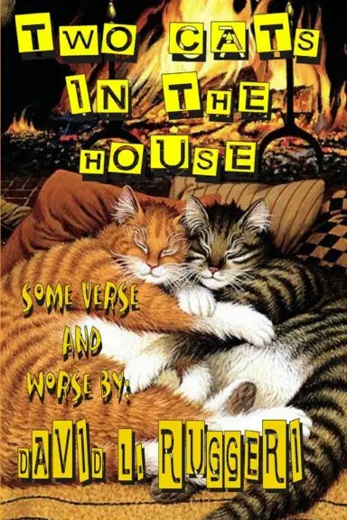 Two Cats In The House 1