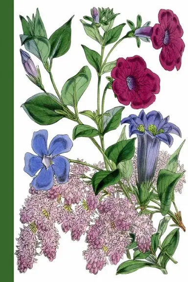 Coloring Doodling Notebook | Bouquet 1