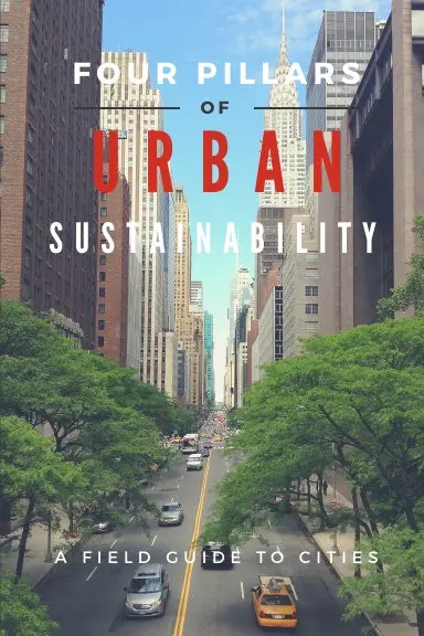 Four Pillars Of Sustainability 1