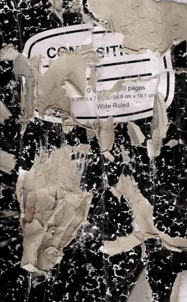 The Suicide Diary 1