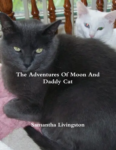 The Adventures Of Moon And Daddy Cat 1