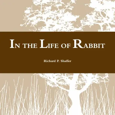 In The Life Of Rabbit 1