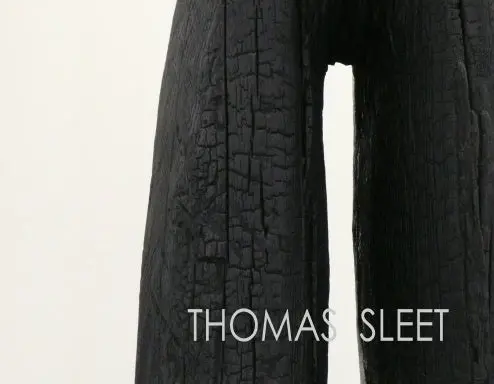 Thomas Sleet: Topology 1