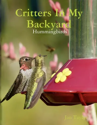 Critters In My Backyard:  Hummingbirds 1