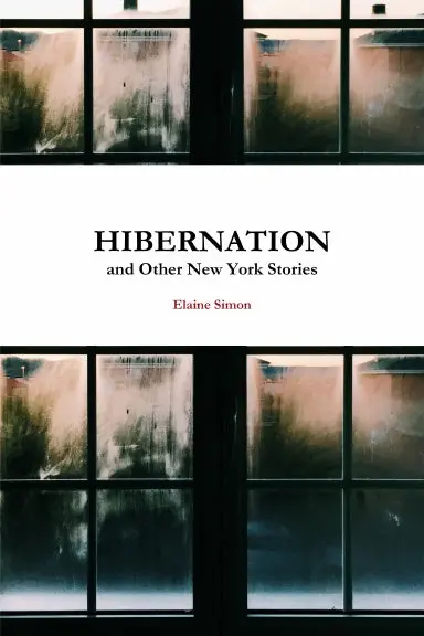 Hibernation And Other New York Stories 1
